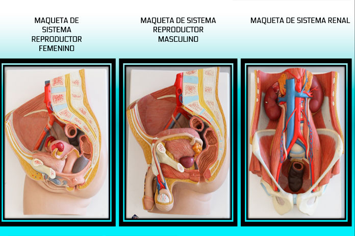 maqueta3